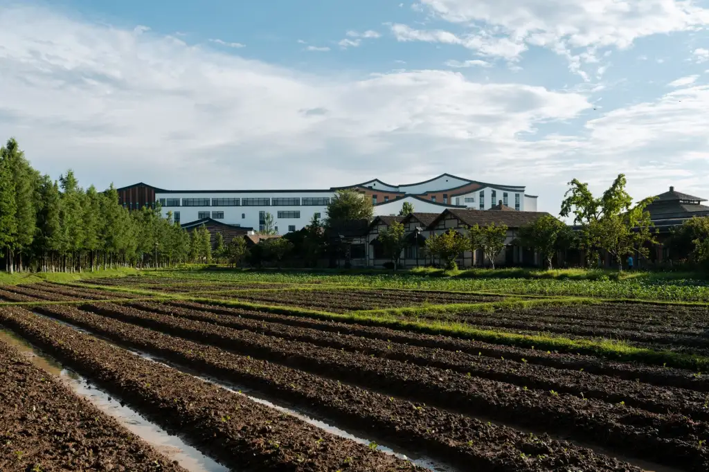 医用制氧机PSA与膜分离技术对比:稳定性与成本分析